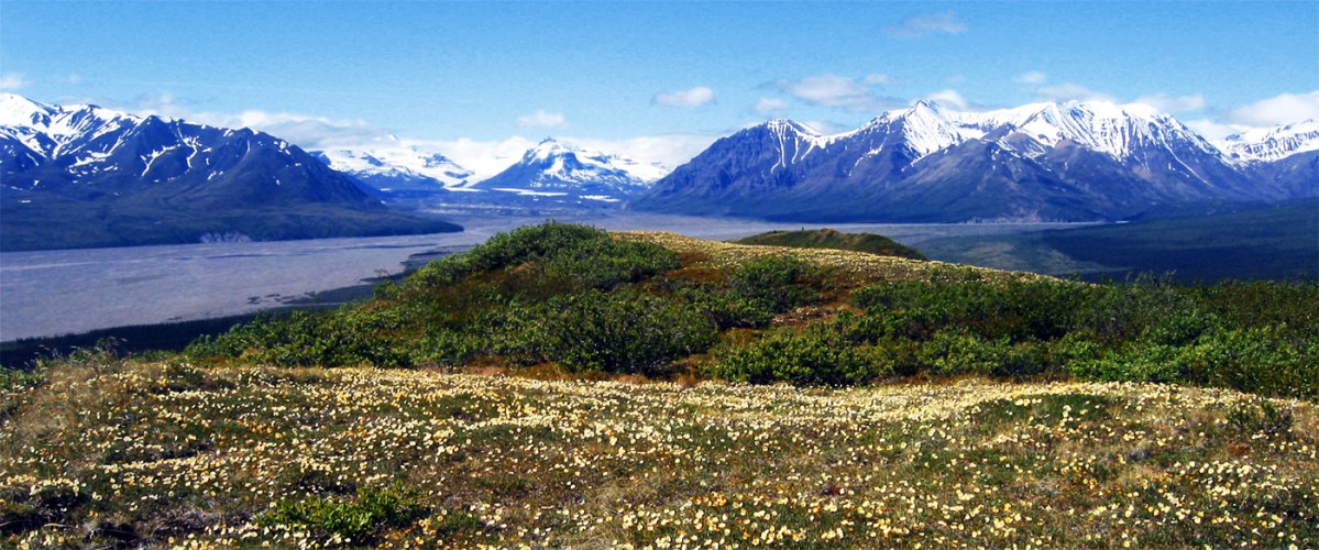 Wrangell-St. Elias National Park, Alaska